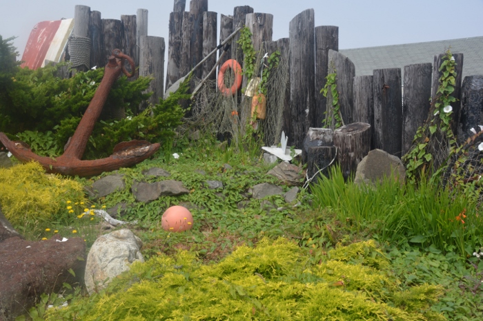 Nye Beach residential garden